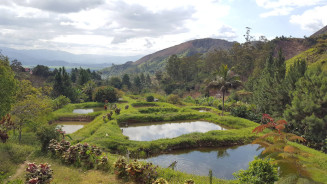 Voyage à Madagascar