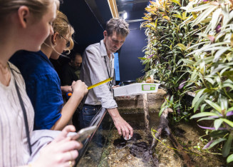 Atelier à l'Aquarium