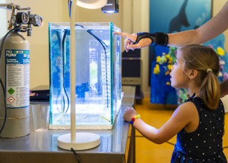 Atelier à l'Aquarium