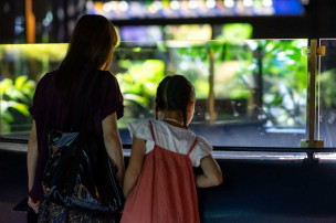 Visiteurs dans l'Aquarium