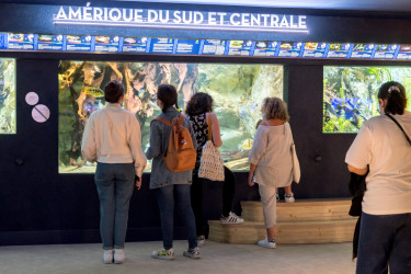 Public à l'Aquarium