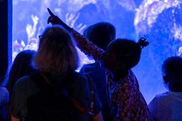 Enfants dans l'Aquarium