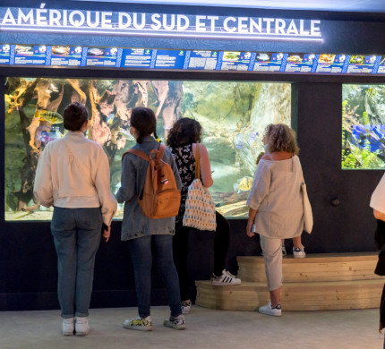 Public à l'Aquarium