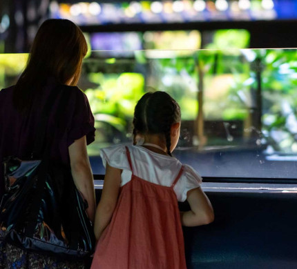 Visiteurs dans l'Aquarium