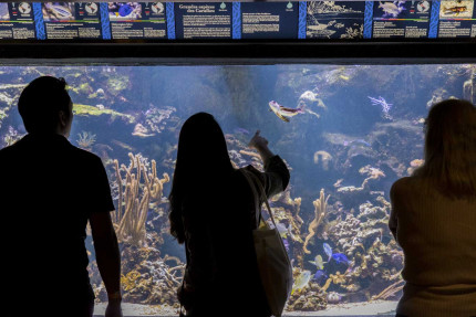 Visiteurs dans l'Aquarium